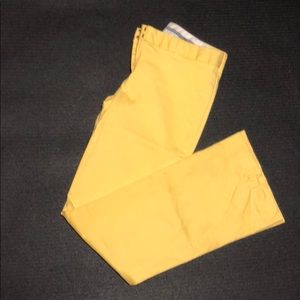 Express Design Studio Pants